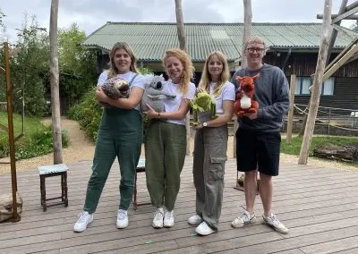 Koala and Friends 2023
