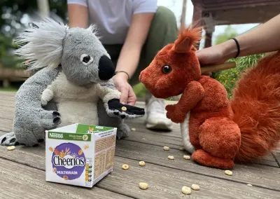 Koala and Friends 2023