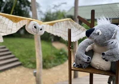 Koala and Friends 2023