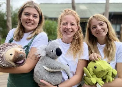 Koala and Friends 2023