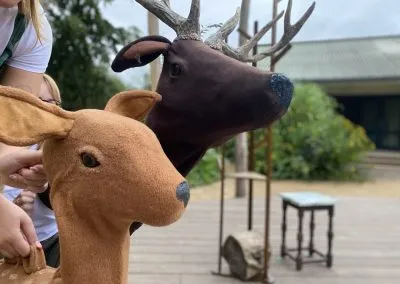 Koala and Friends 2023