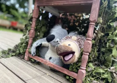 Koala and Friends 2023