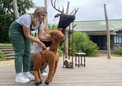Koala and Friends 2023