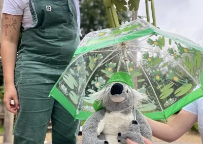 Koala and Friends 2023