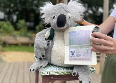 Koala and Friends 2023