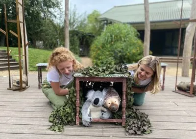 Koala and Friends 2023