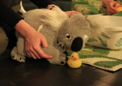 Koala and Me 2021