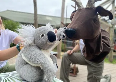 Koala and Friends 2023
